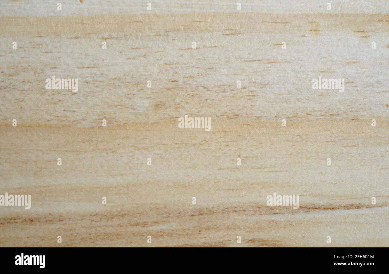 Nouveau fond de texture en bois avec espace de copie pour la conception ou le texte. Haute qualité pour votre travail. Concept de papier peint ou site Web. Matériaux naturels a Banque D'Images