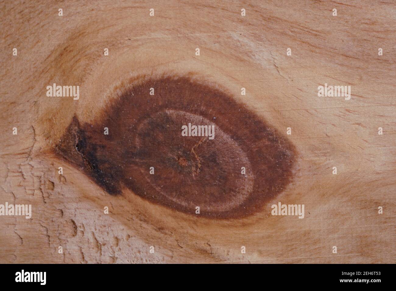 Arrière-plan de texture bois clair avec espace de copie pour la conception ou le texte. Haute qualité pour votre travail. Concept de papier peint ou de site Web. Vue de dessus naturelle Banque D'Images