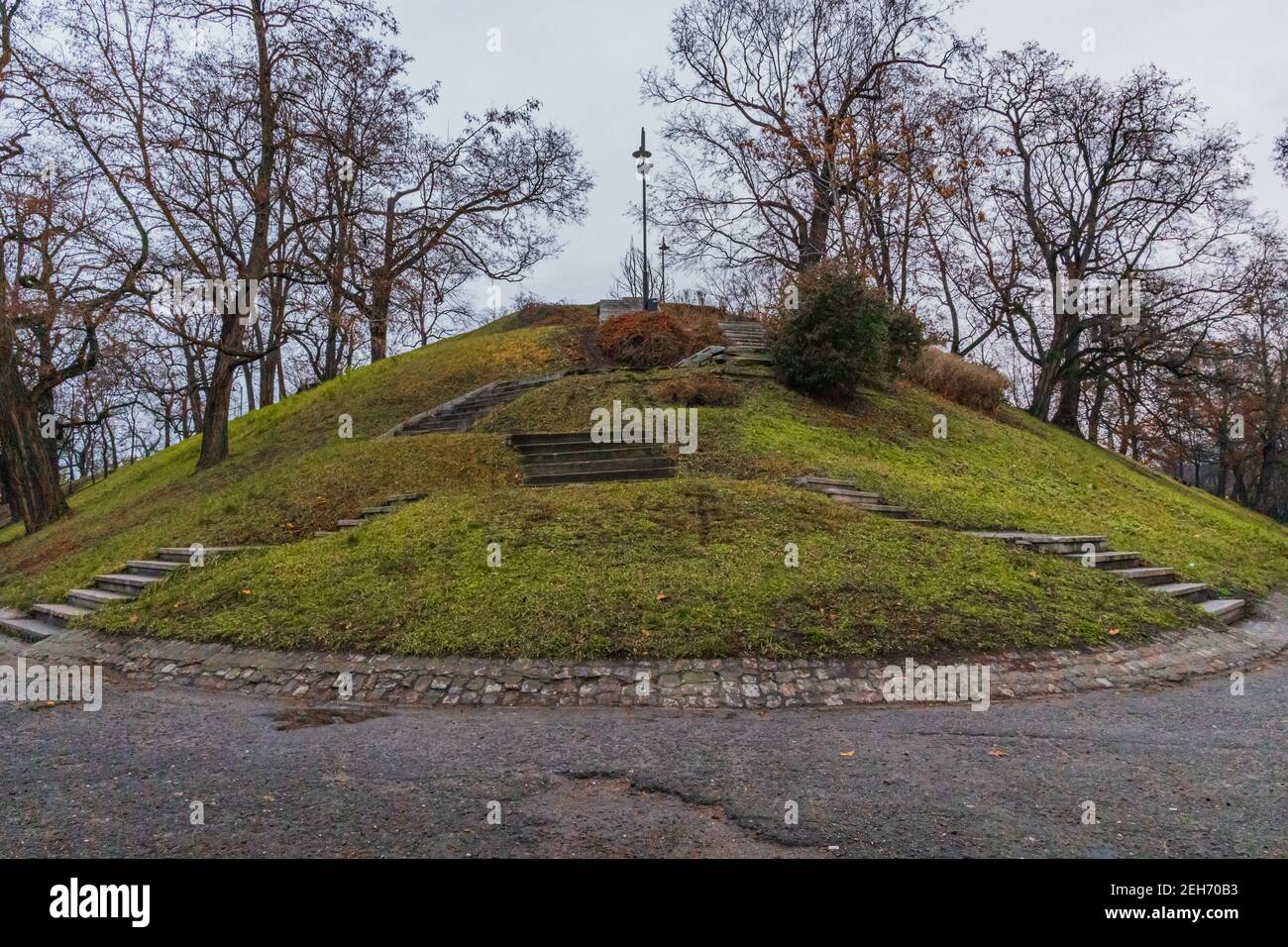 Herbe verte et buissons sur une petite colline dans le parc avec escaliers autour Banque D'Images