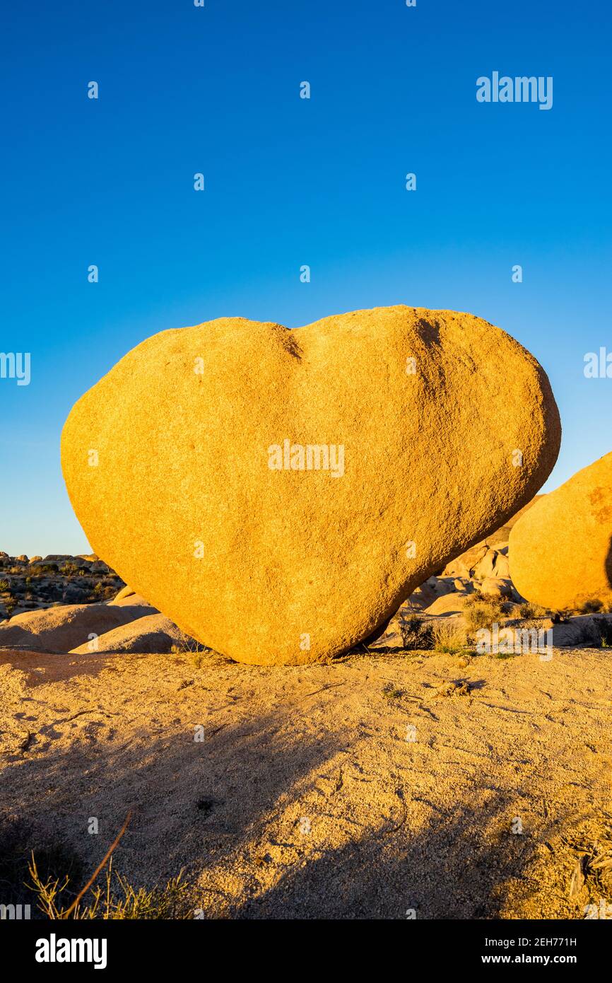 Bloc en forme de cœur dans la lumière dorée du soir au parc national de Joshua Tree, Californie. Carte de Saint-Valentin appropriée. Rock Solid Love concept. Banque D'Images