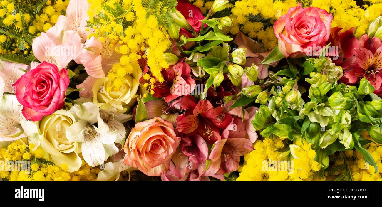 Composition des bordures de fleurs dans des couleurs rouge jaune vif. Alstroemeria, roses, fleurs mimosa. Vue de dessus de la couche à plat, espace de copie Banque D'Images
