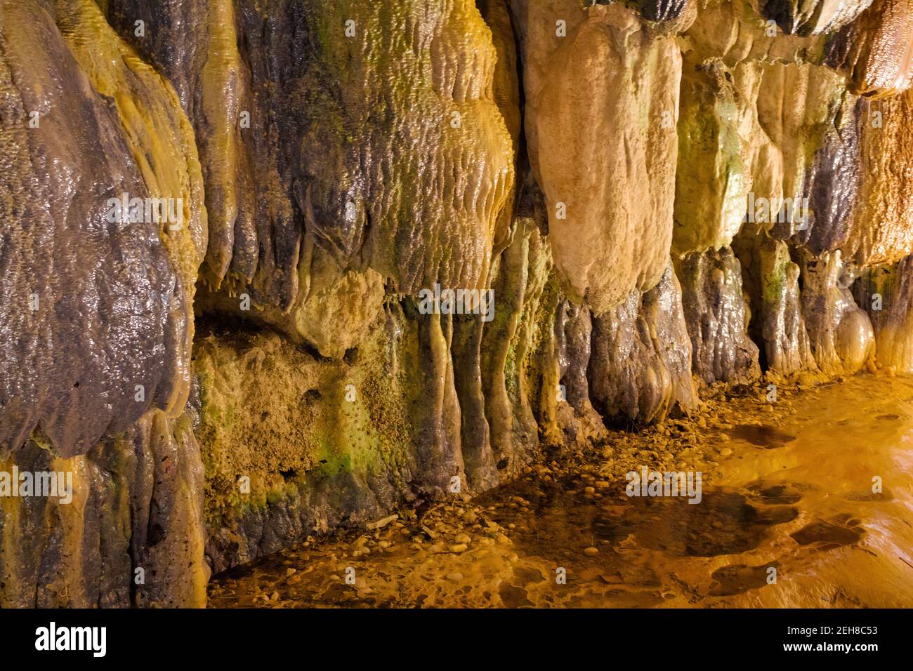 Vue sur une zone où les stalactites se forment sur le chemin qui traverse l'espace naturel de Sant Miguel del Fai, Catalogne, Espagne Banque D'Images