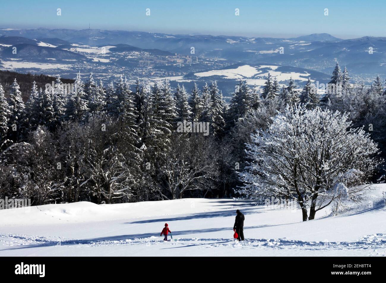 Homme enfant dans le paysage enneigé de la forêt d'épicéas Banque D'Images