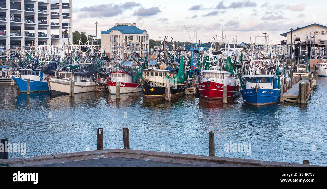 Bateaux commerciaux de pêche à la crevette au port commercial de Biloxi, Mississippi Banque D'Images