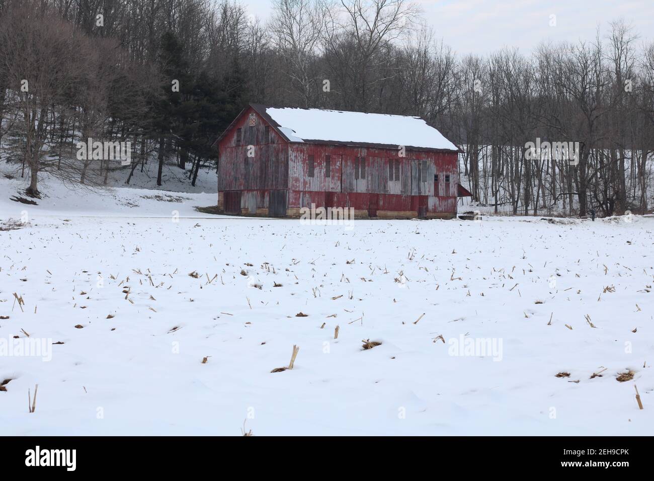 Grange rustique rouge, champ de maïs recouvert de neige devant Banque D'Images