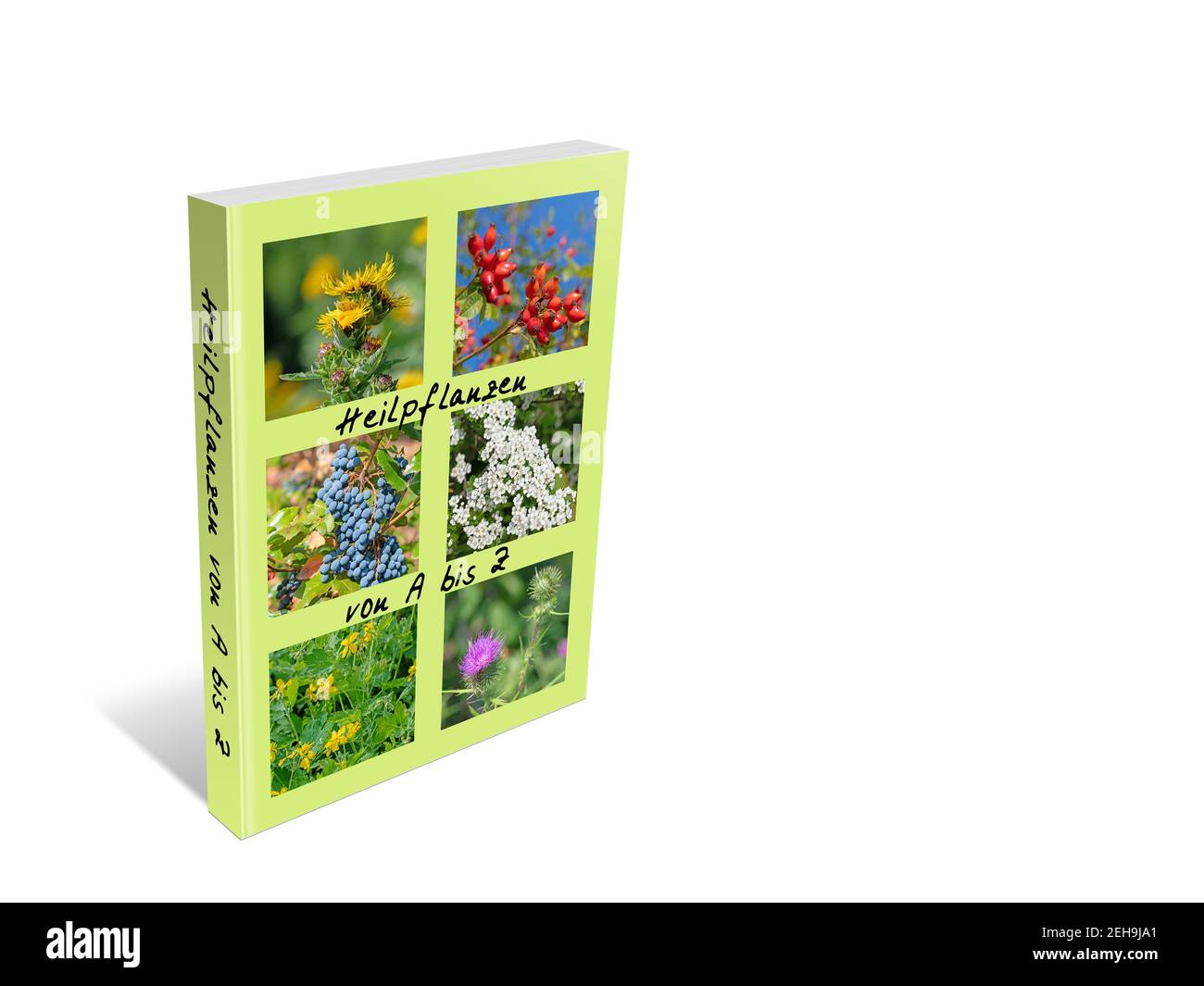 Livre avec 'Heilpflanzen', traduction 'plantes écinales' sur fond blanc, illustration 3d Banque D'Images