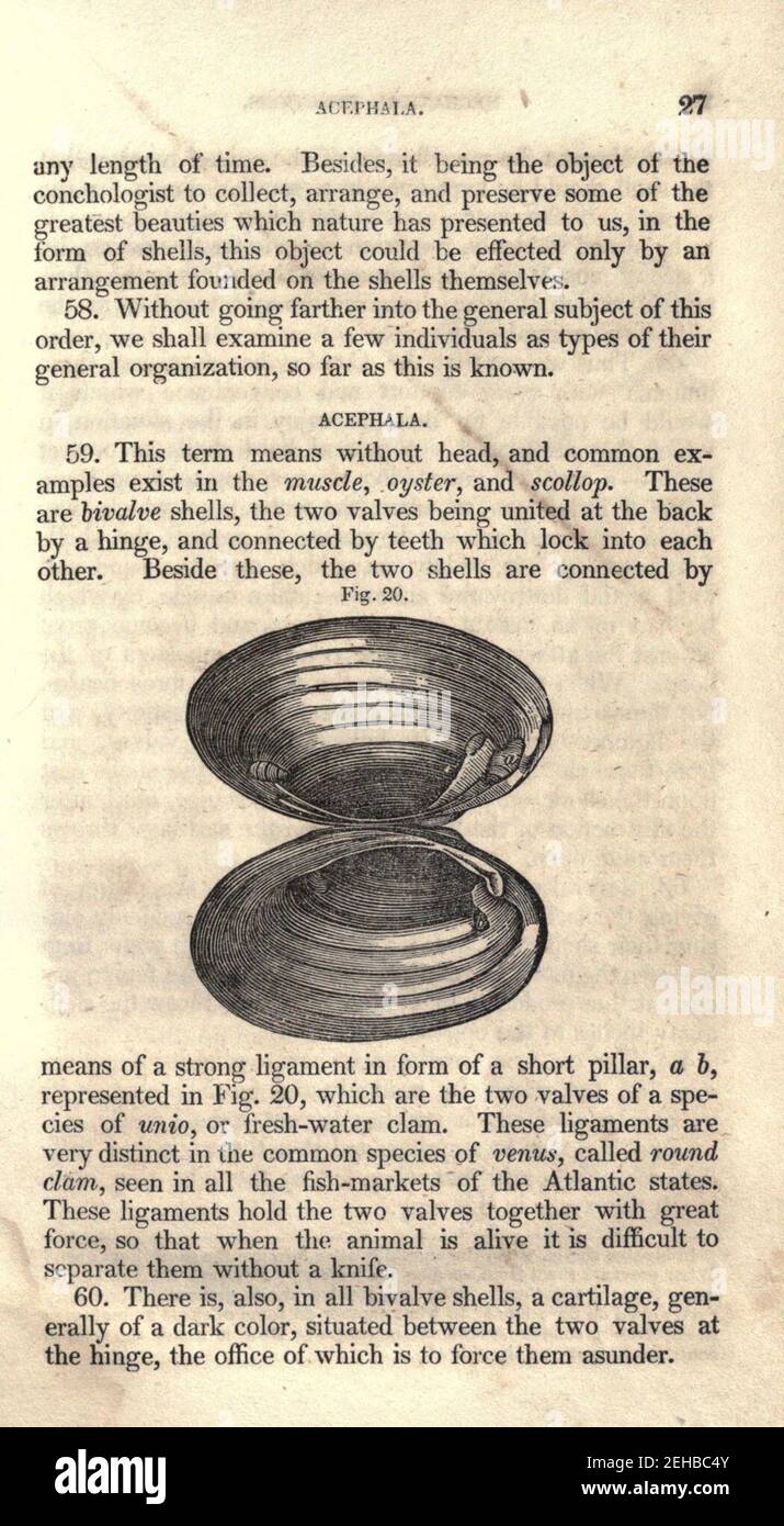 Contours de la physiologie, à la fois comparative et humaine (page 27) Banque D'Images