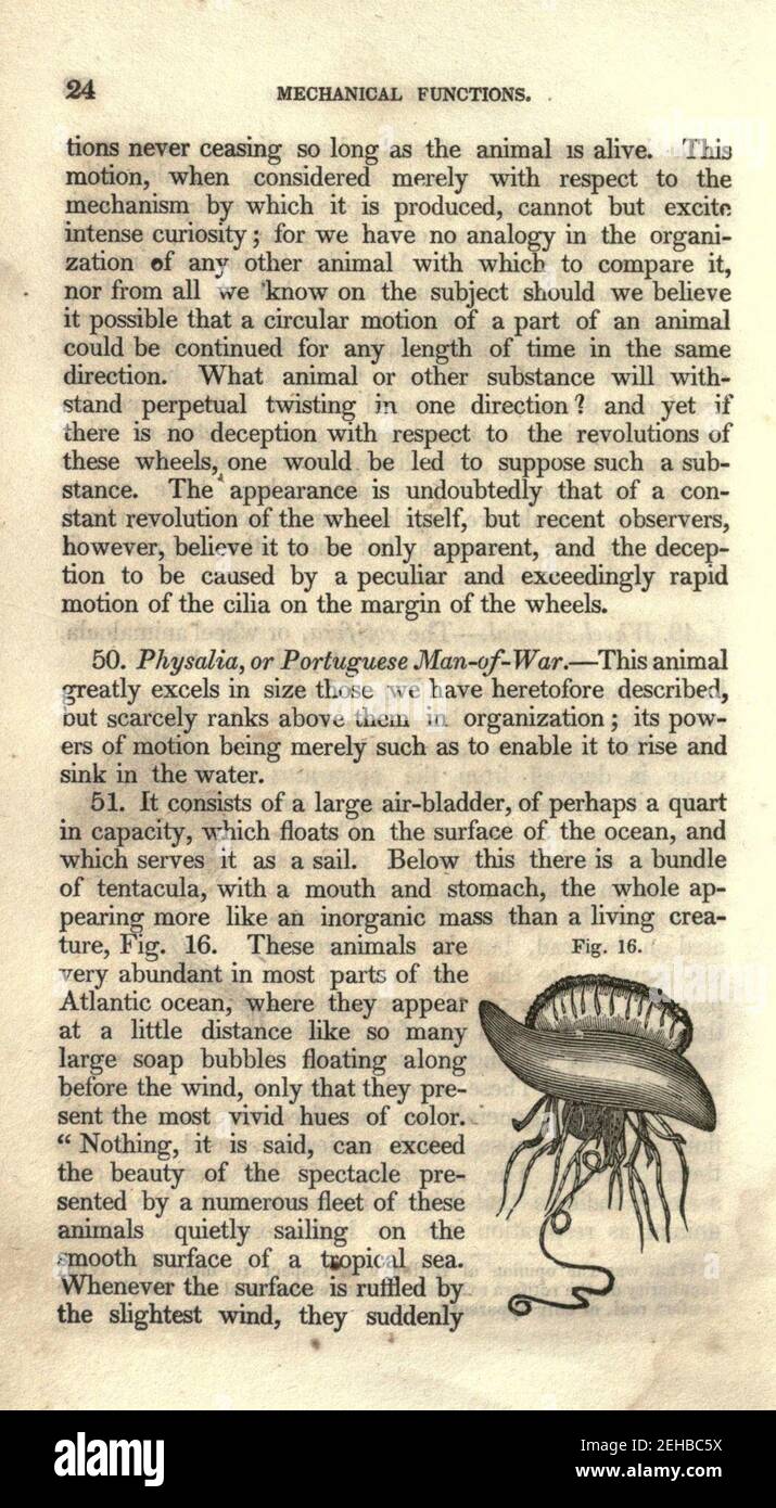 Contours de la physiologie, à la fois comparative et humaine (page 24) Banque D'Images