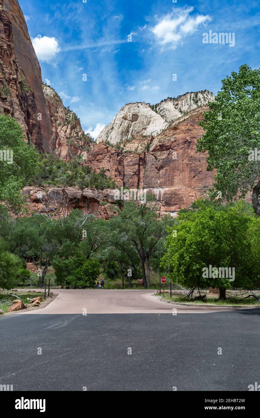 Parc national de Zion dans le sud-ouest de l'Utah, États-Unis Banque D'Images