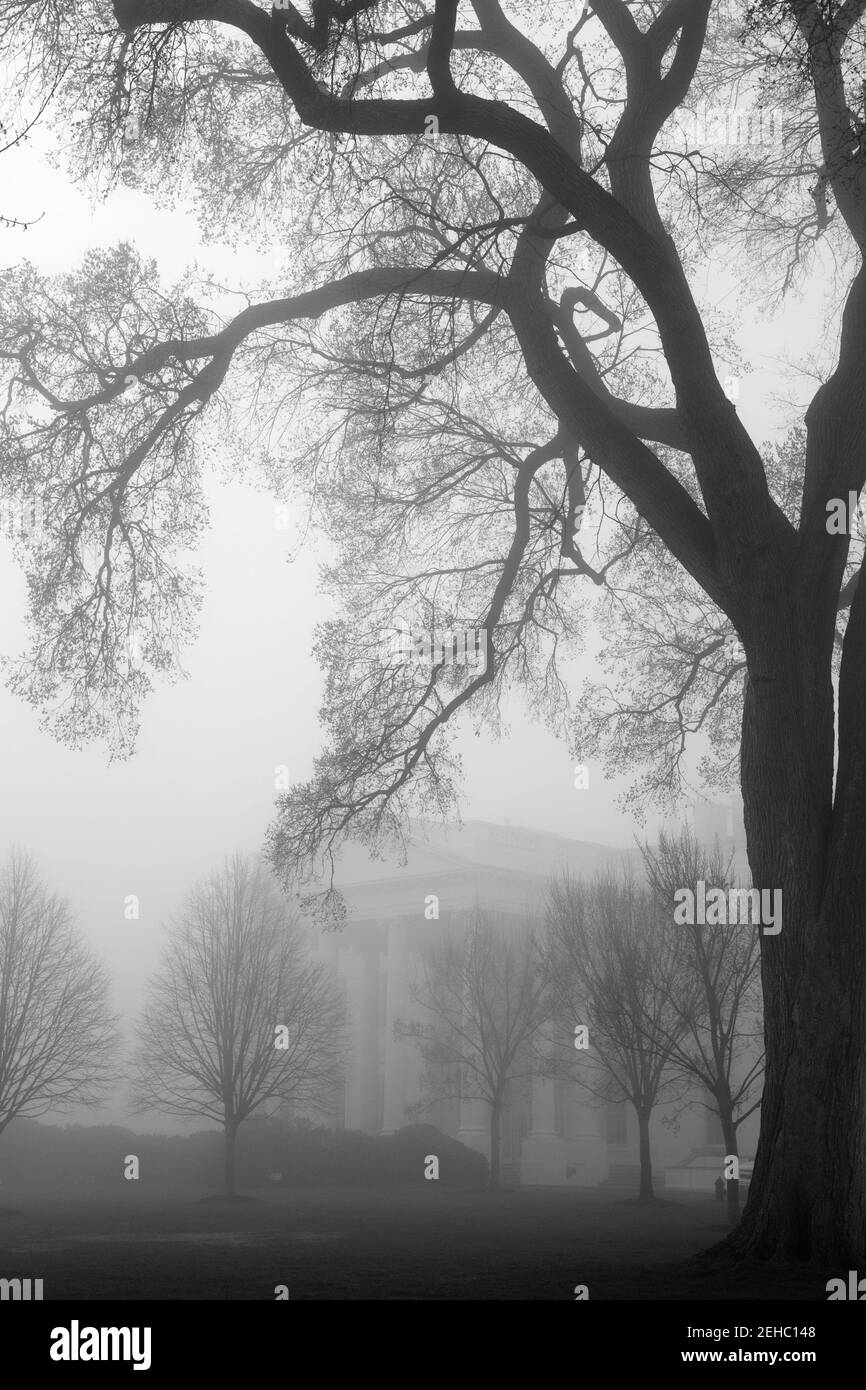 Le Portico nord de la Maison Blanche est vu par le brouillard, le 1er avril 2013. Banque D'Images