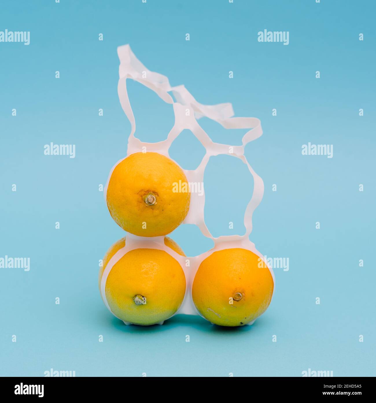Citrons mûrs et juteux, entiers et brillants, entre un emballage en plastique fin anneaux avec trous Banque D'Images