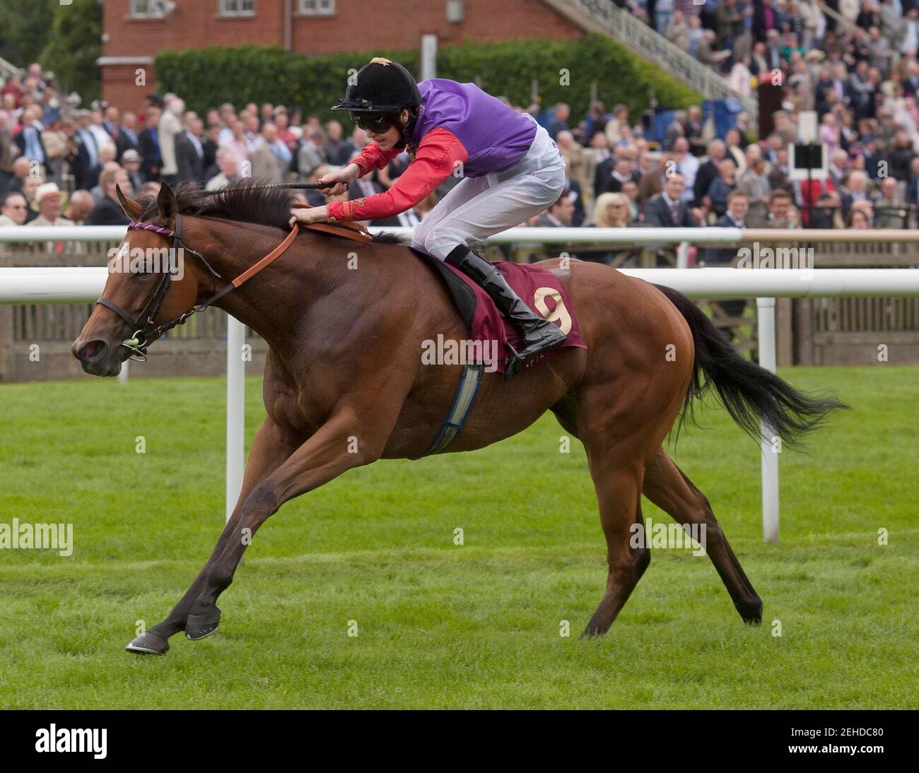 Courses hippiques - Newmarket July Festival - Newmarket Racecourse - 13/7/12 le verset gratuit de Brendan Powell remporte le 13.20 The Piper-Heidsieck E.B.F. Fillies' handicap Race obligatoire crédit: Images d'action / Julian Herbert Livepic Banque D'Images