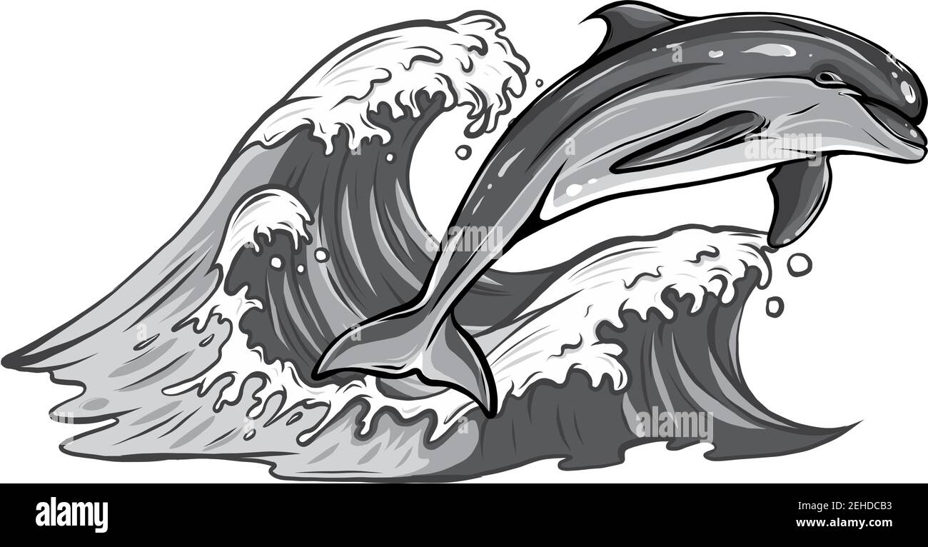 Vecteur de dauphins sautant hors de l'eau Illustration de Vecteur