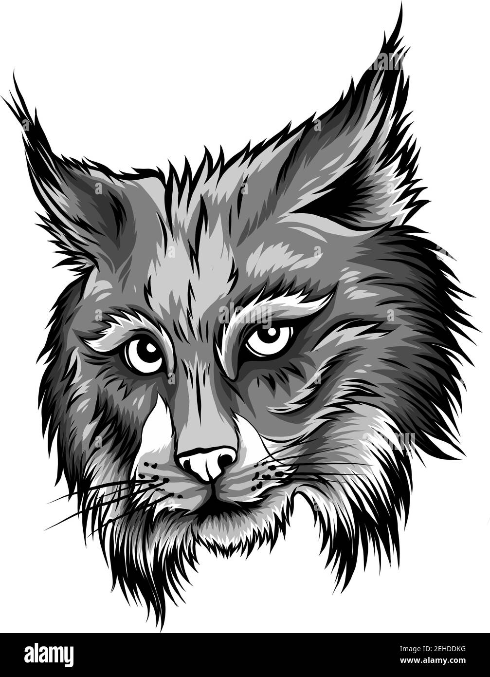 Lynx eurasien isolé. Icône d'esquisse d'animal sauvage vectorisé à la main. Illustration de Vecteur