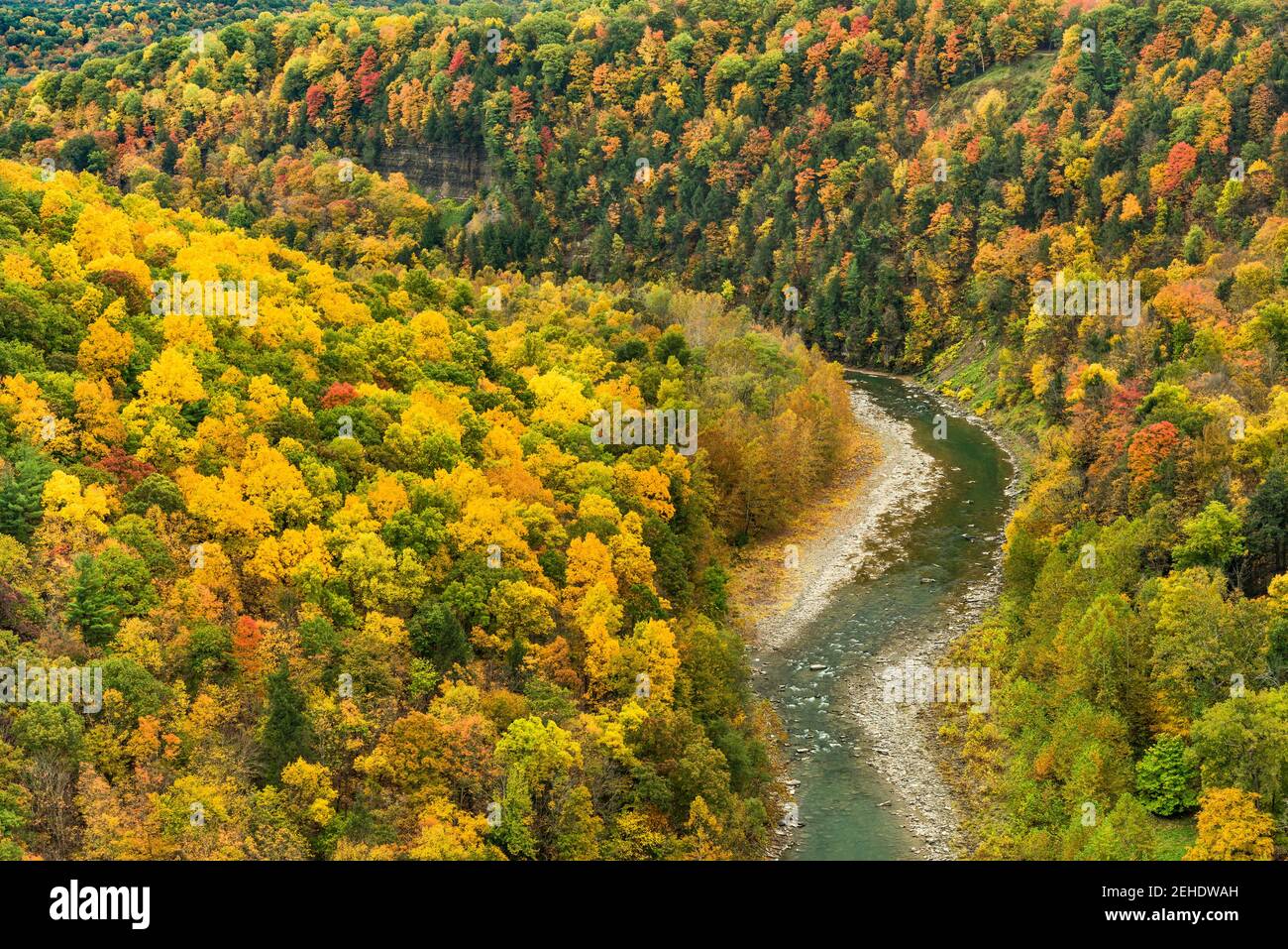 Great Bend, Genesee River et gorge au parc national de Letchworth, Wyoming County, New York Banque D'Images