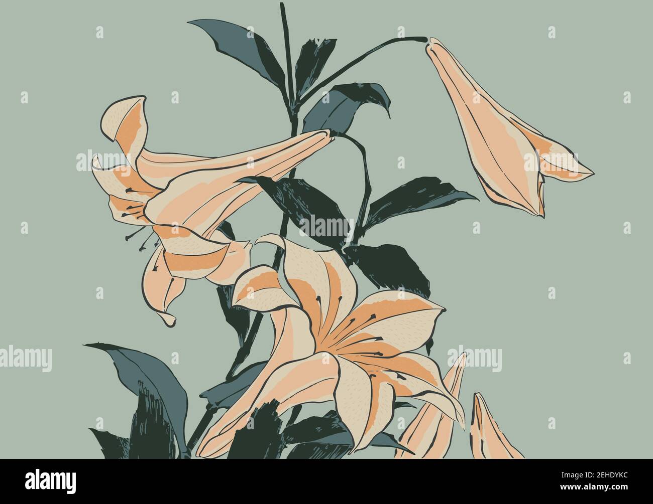 Trumpet Lilies, dessin d'illustration vectorielle après l'impression de blocs de bois du XIXe siècle par l'artiste Katsushika Hokusai Illustration de Vecteur