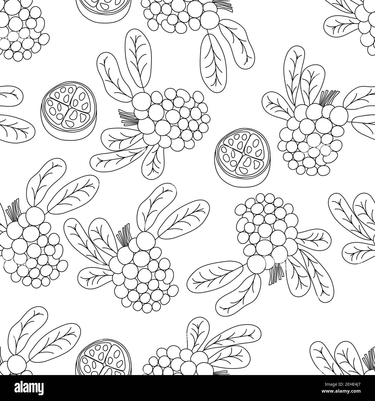 Motif sans coutures à la ligne des fruits tropicaux. Fond botanique noir et blanc. Illustration vectorielle monoline d'été Illustration de Vecteur