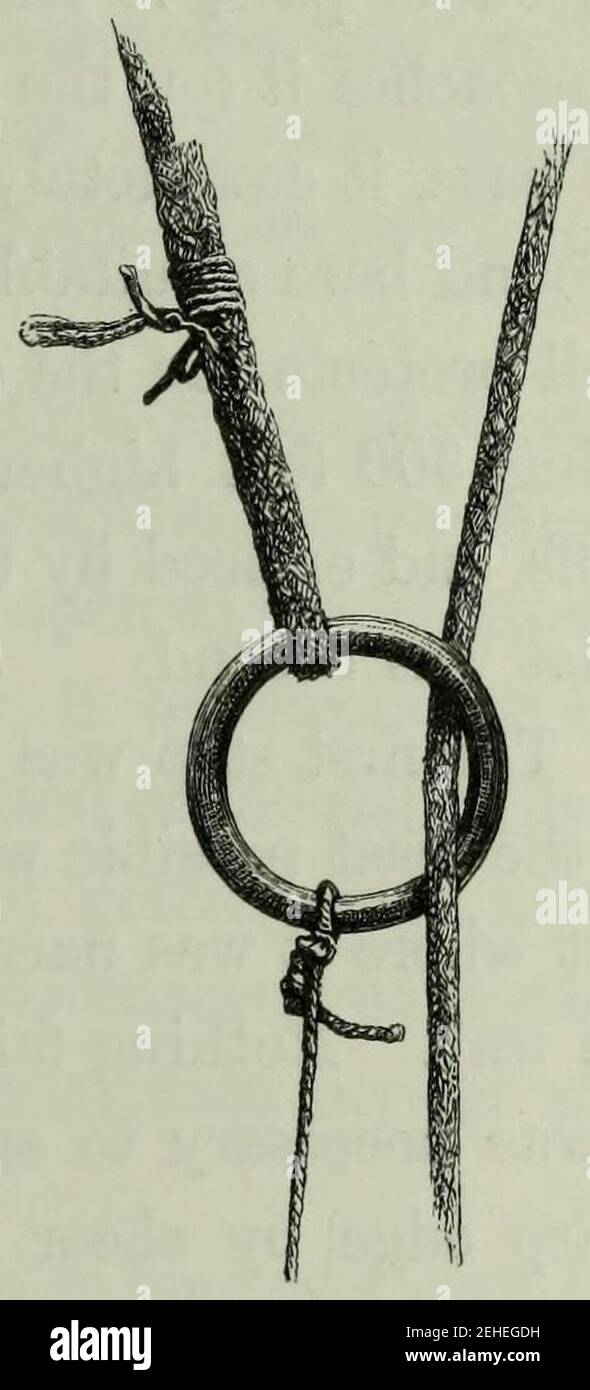 Page 145 - brouille entre les Alpes - Whymper. Banque D'Images