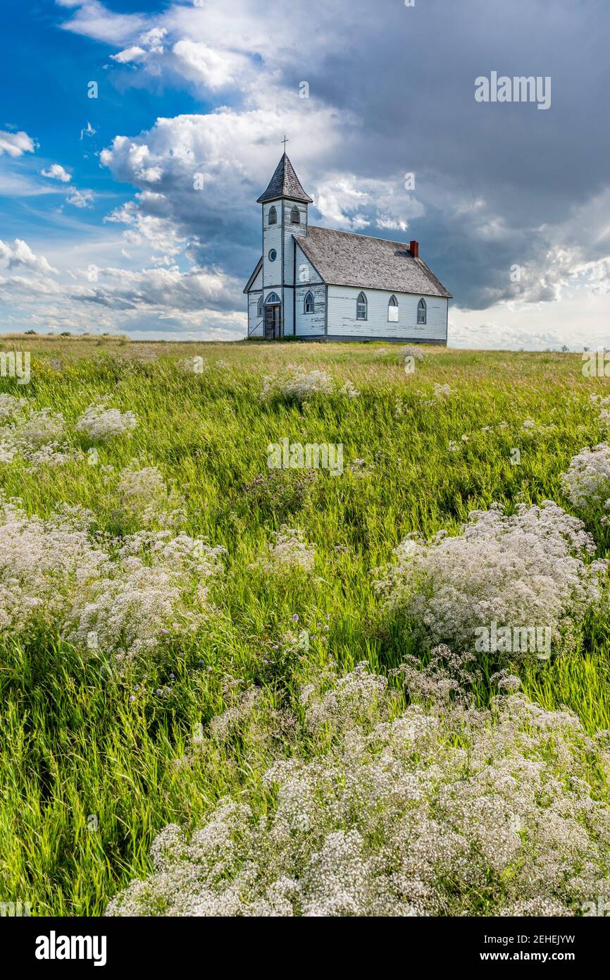 L'église luthérienne de la paix historique, mais abandonnée, à Stonehenge, en Saskatchewan, avec le souffle de bébé au premier plan Banque D'Images