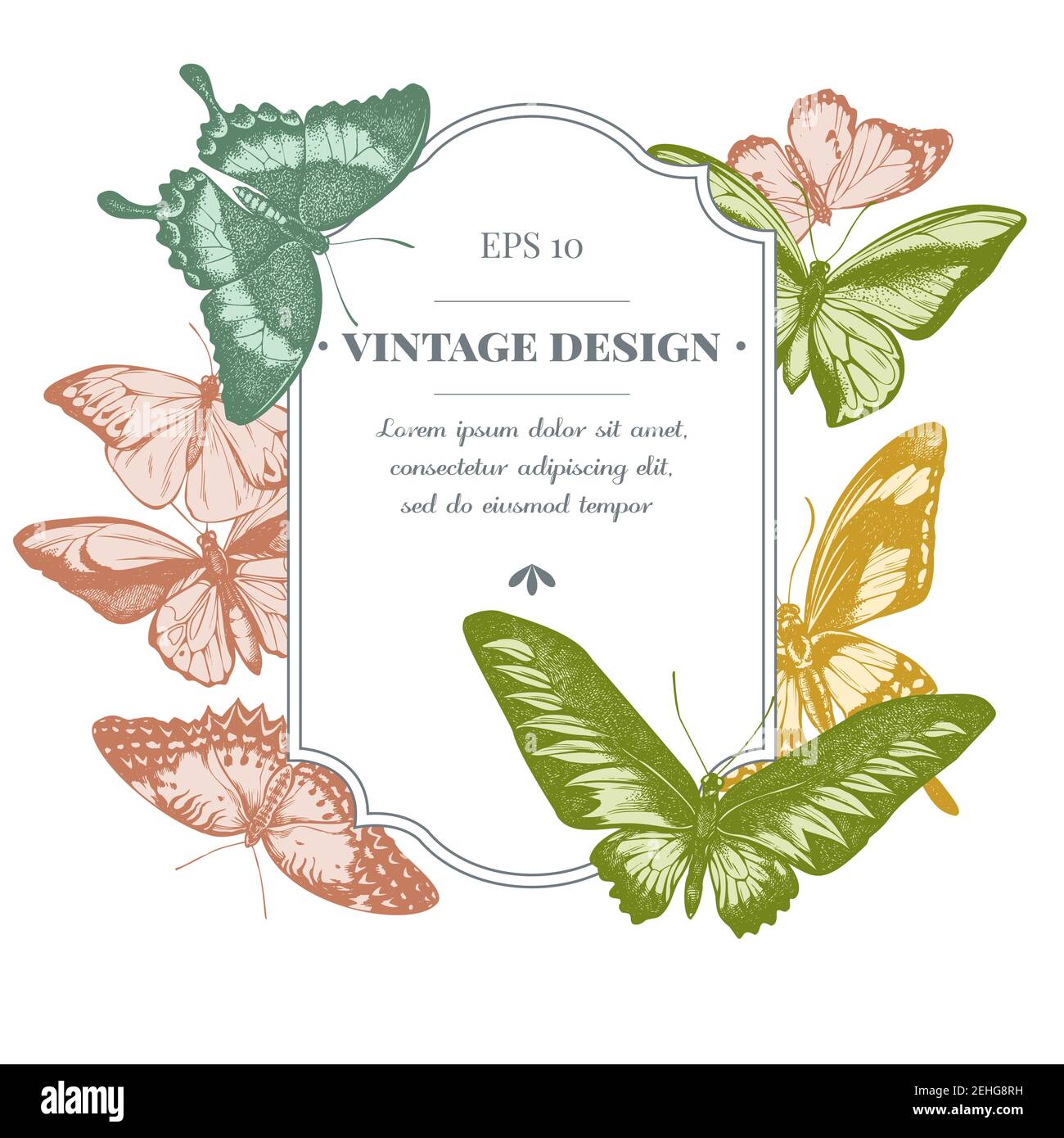 Badge avec pointe orange pastel, queue d'allowtail émeraude, reines de jungle, tigre Uni, aile d'oiseaux de rajah brooke, papillio torquatus, queue d'allowtail Illustration de Vecteur