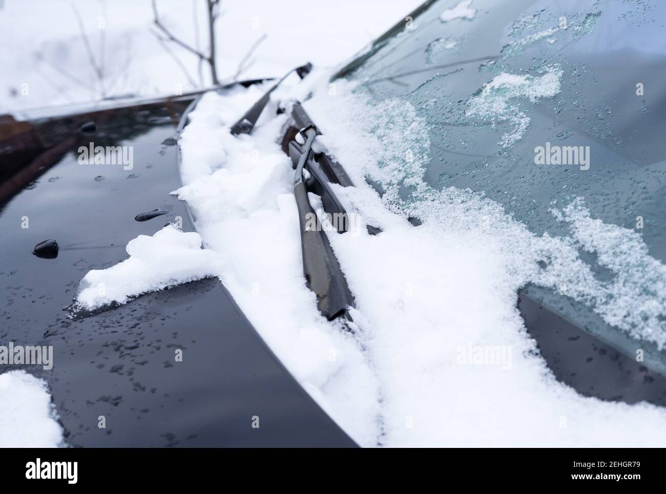 Essuie-glaces de voiture gelés dans la neige Banque D'Images