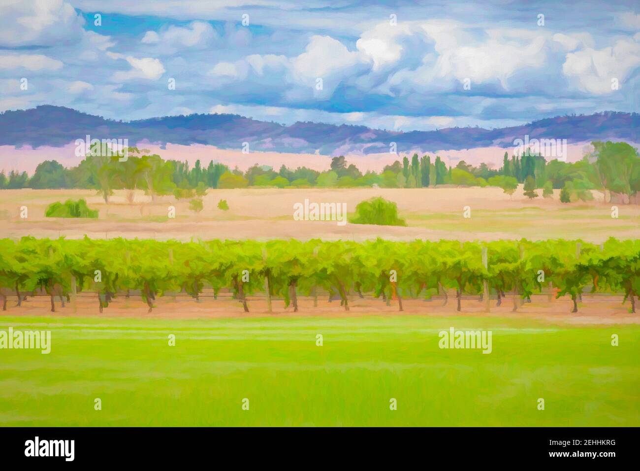 Peinture numérique de la vue sur les vignes et la campagne aux Two Rivers Hunter Valley Wines, Nouvelle-Galles du Sud, Australie. Banque D'Images