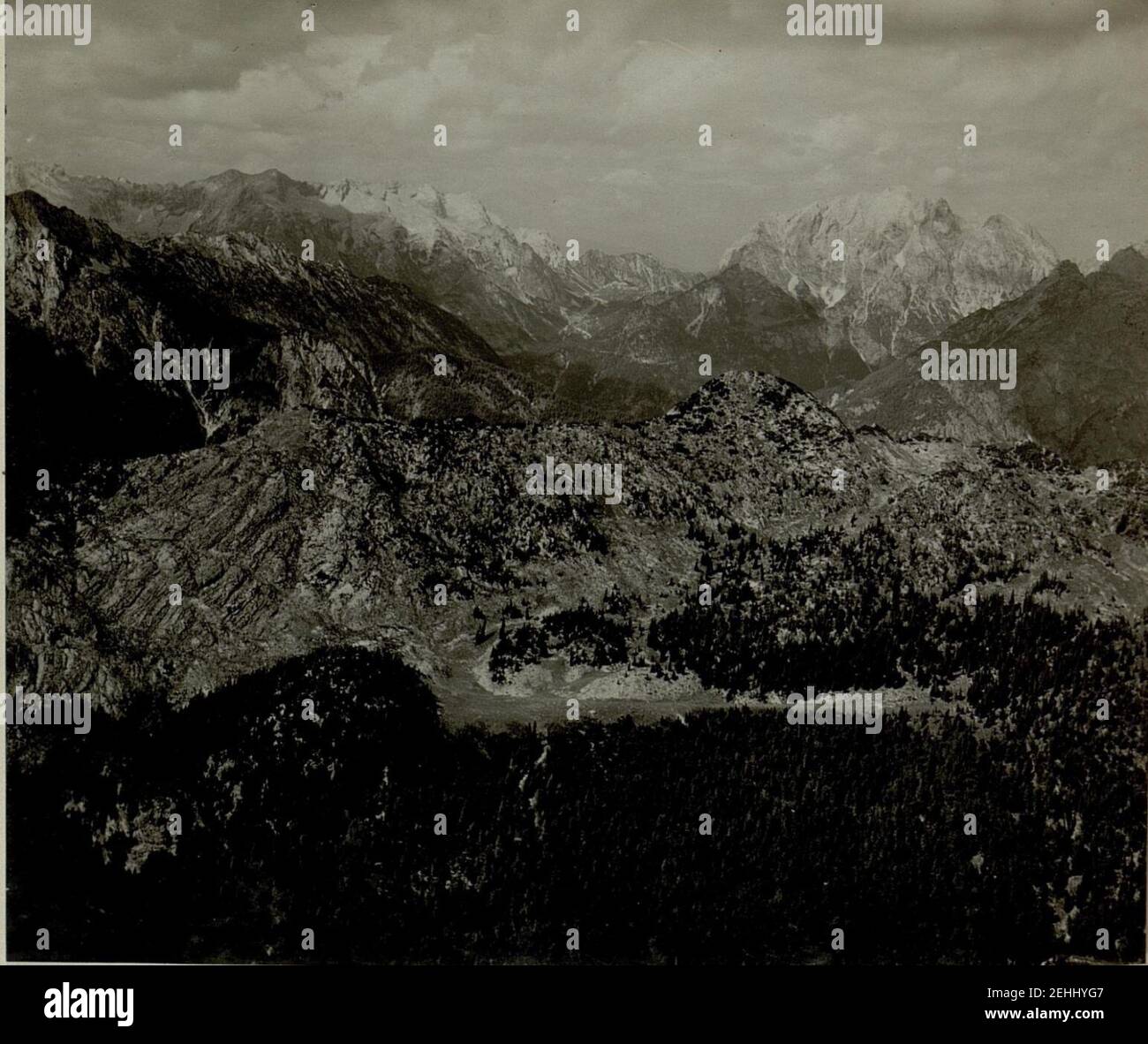 Panorama vom Vogel, Lepa, Spica, Triglav, Prisang, Rasoir, Mojstrovka Stpkt, Kuk Kamm Kote 2135. Banque D'Images