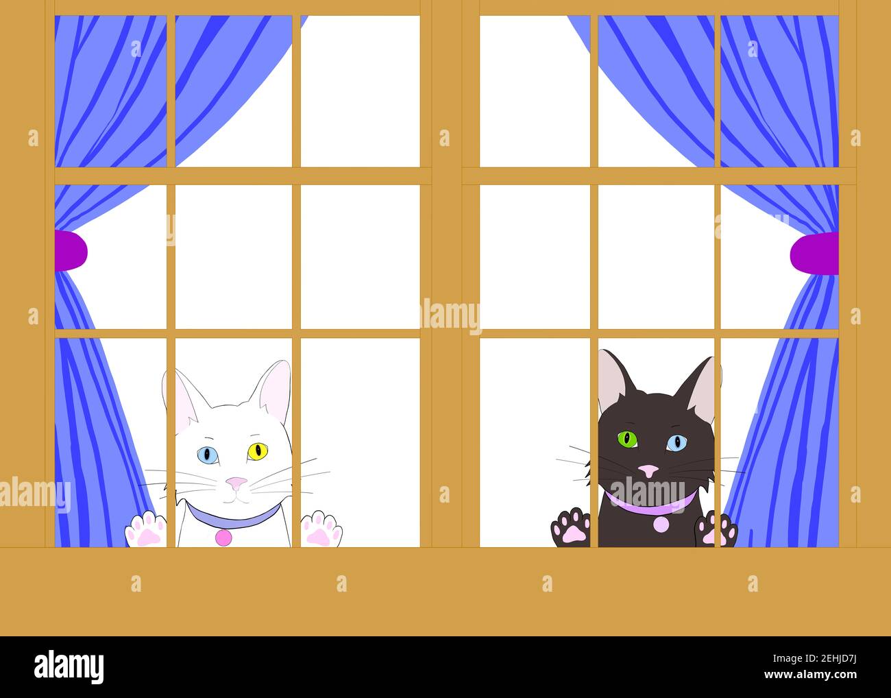 Dessin d'illustration de deux chats de dessins animés avec l'hétérochromie peaking à travers une fenêtre en bois brun avec des pattes sur le verre. Regarder le spectateur longingl Banque D'Images