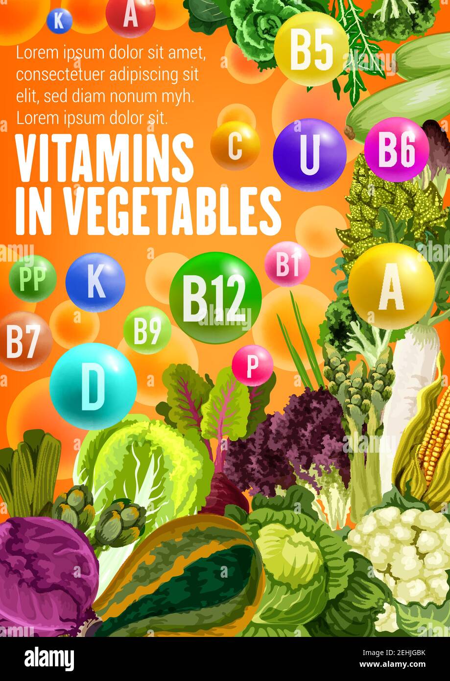 Source végétale d'affiche de vitamine, nutrition saine et conception de thèmes d'alimentation. Chou frais, brocoli et courgettes, maïs, asperges et radis, l Illustration de Vecteur
