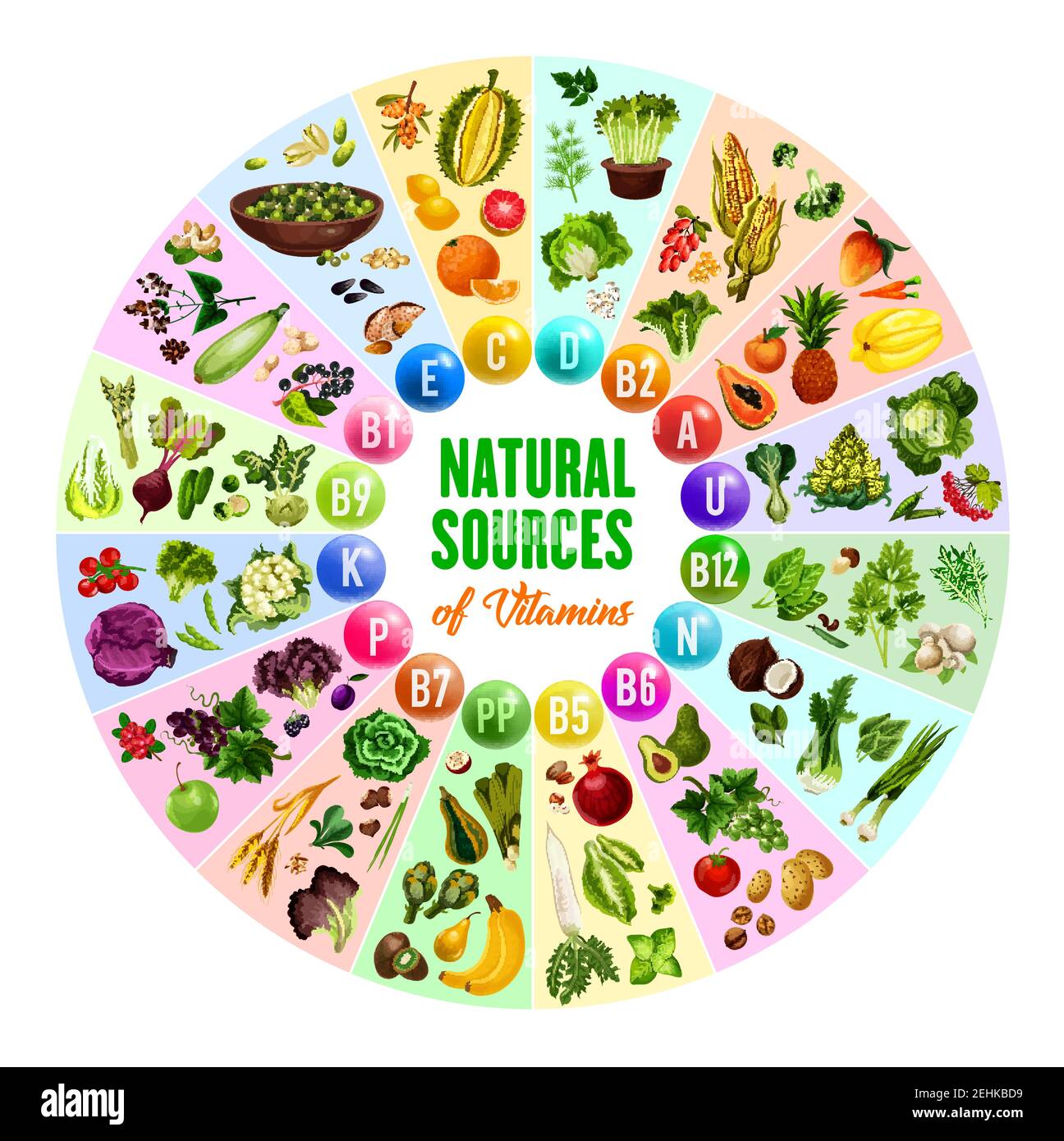 Affiche de source naturelle de vitamines avec tableau rond de la pilule de multivitamines et de l'ingrédient alimentaire végétarien. Légumes, fruits et noix, baies, champignons et ceres Illustration de Vecteur
