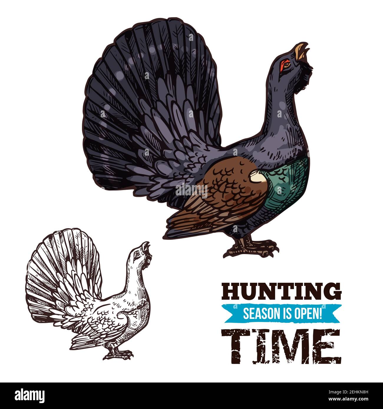 Esquisse de tétras sauvages ou de coq de forêt isolée par vecteur, aventure de chasse aux oiseaux. Affiche de croquis de saison ouverte, société de chasseurs ou thème de club Illustration de Vecteur