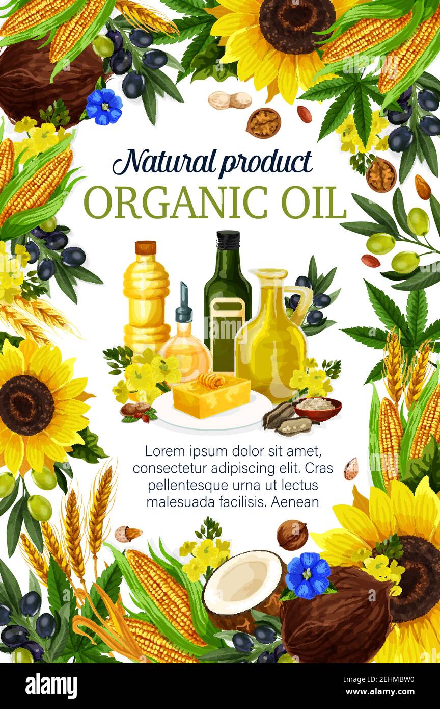 Affiche pour les huiles de cuisson pour les produits du marché agricole. Vecteur d'huile d'olive extra vierge, de tournesol ou de noix de coco et de lin ou de maïs, de blé et de chanvre en plastique Illustration de Vecteur