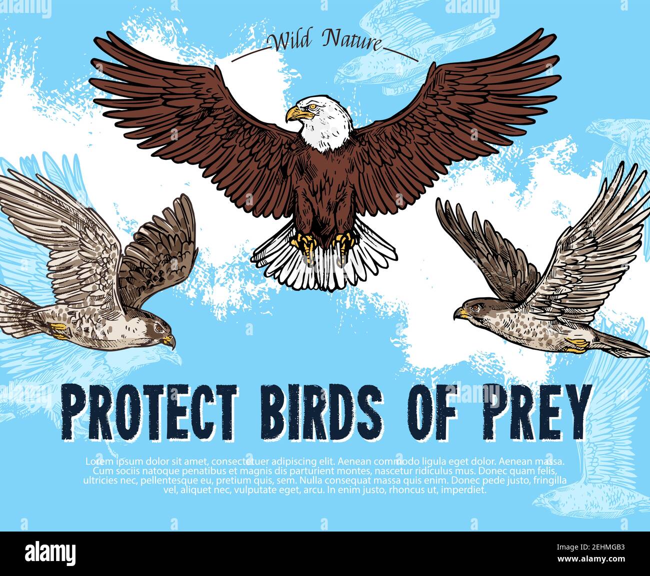 Protéger les oiseaux de proie affiche de croquis pour la protection de la nature sauvage et de l'environnement. Motif vectoriel pour sauver la rareté des oiseaux prédateurs ou rapaces d'aigle vultu Illustration de Vecteur