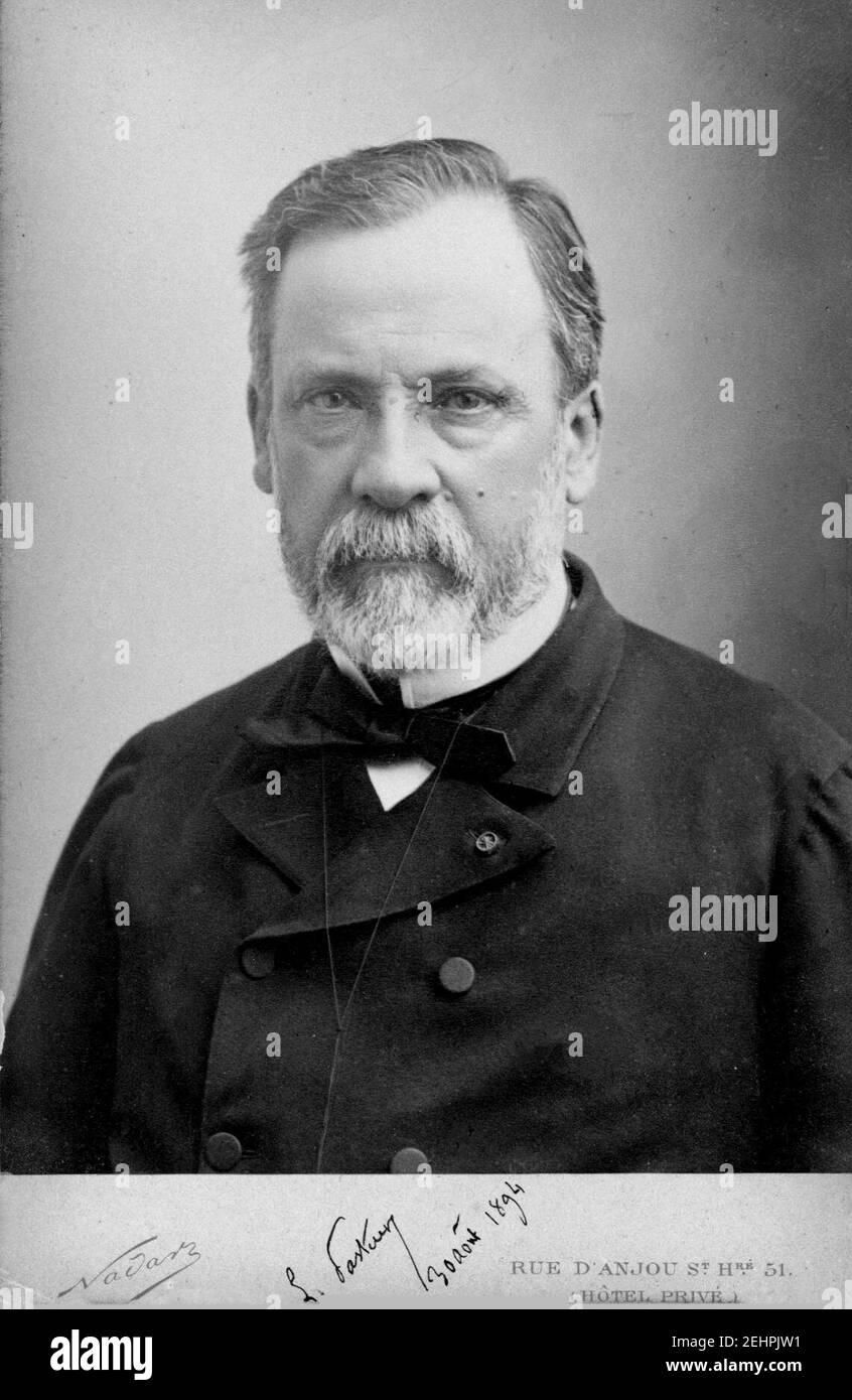 Pasteur, Louis (1822-1895) par Paul Nadar. Banque D'Images