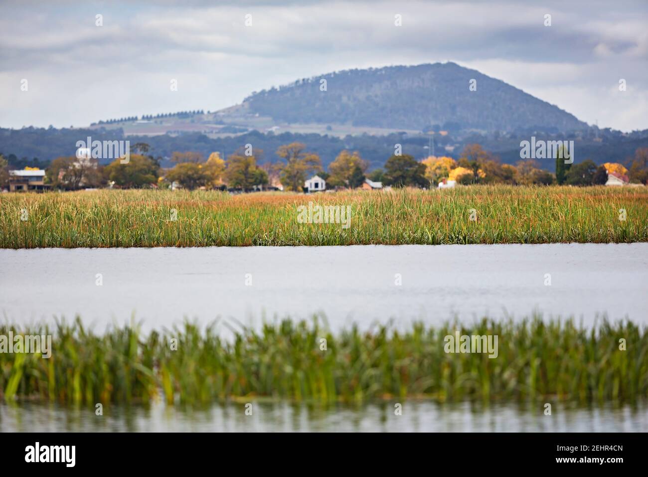 Ballarat Australie / vue sur les reedbeds du lac Wendoureee vers le mont Warrenheip, Ballarat, Australie Banque D'Images