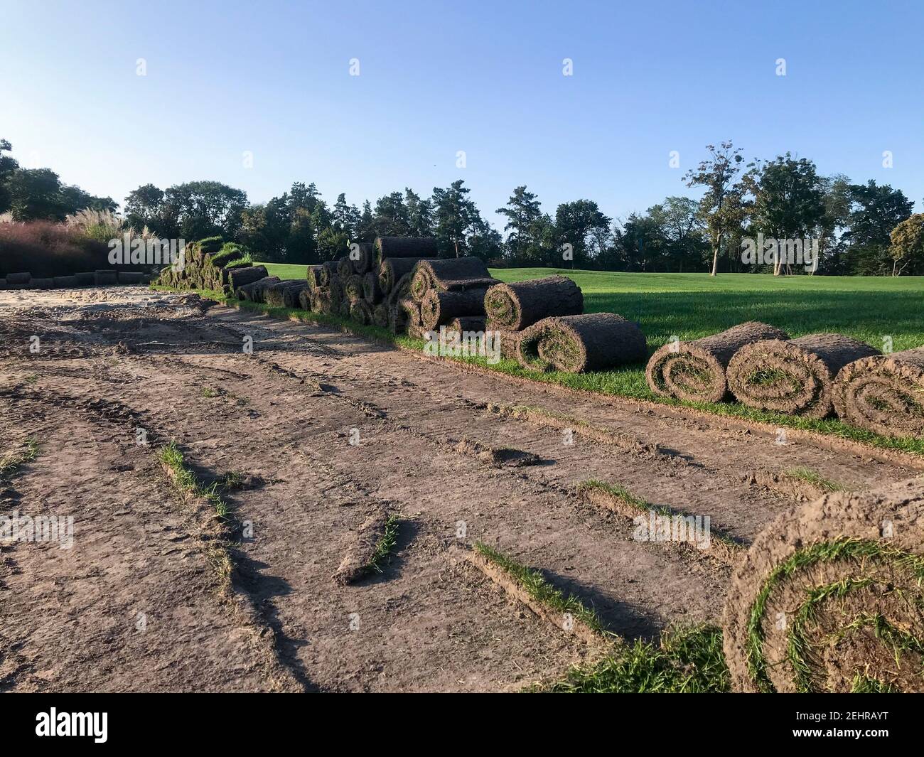 Changement de couverture, rouleaux d'herbe sur l'herbe près du parcours de golf, en été au coucher du soleil. Banque D'Images