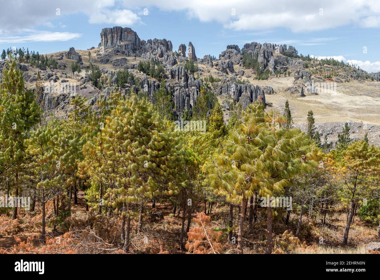 Los Frailones, les frères ou les moines de pierre, site archéologique de Cumbe Mayo, Cajamarca, Pérou Banque D'Images