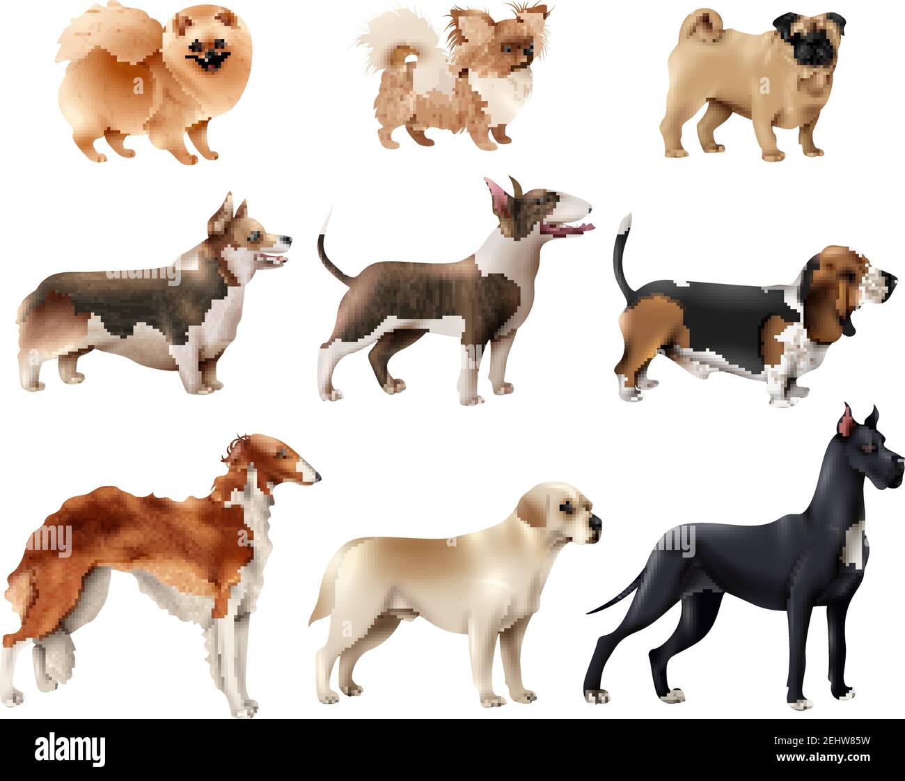 Jeu d'icônes de races de chiens colorées et isolées de différentes tailles et illustrations vectorielles de races de chiens Illustration de Vecteur