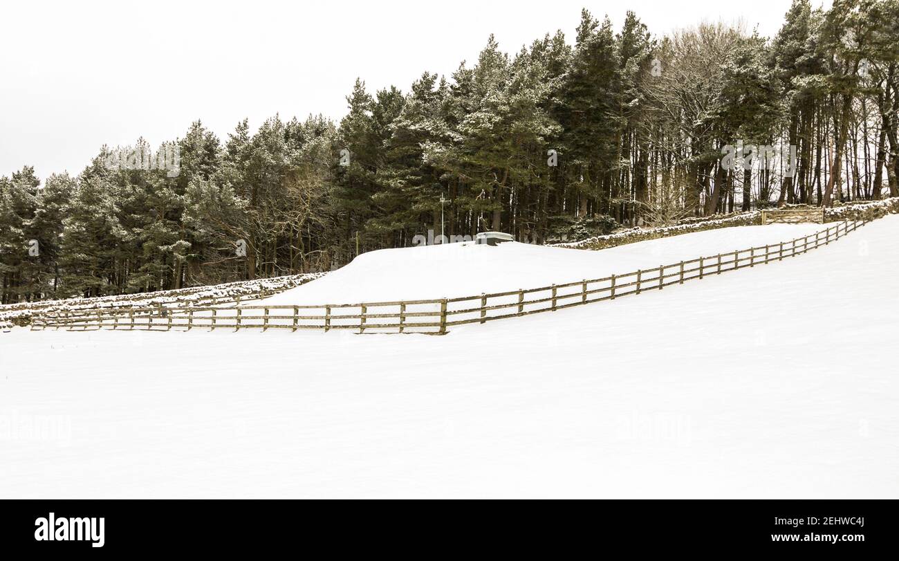 Un réservoir couvert / souterrain sous une couverture de neige, avec un conifères en arrière-plan (North Pennines, Weardale, County Durham) Banque D'Images