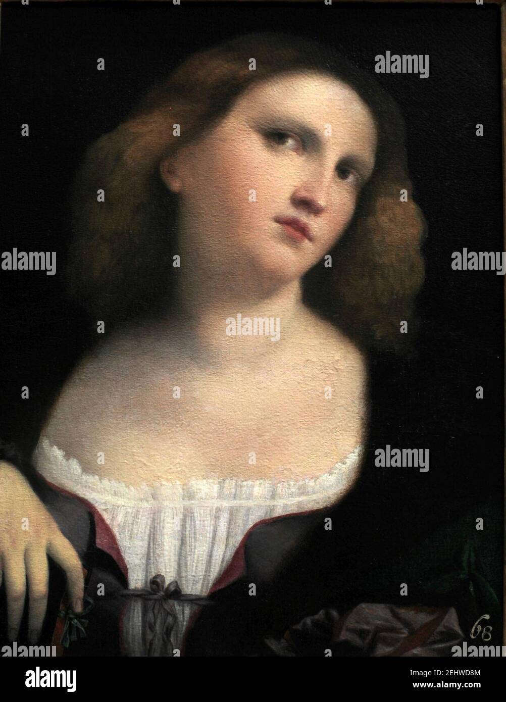 Portrait d'une femme - Palma Vecchio Banque D'Images