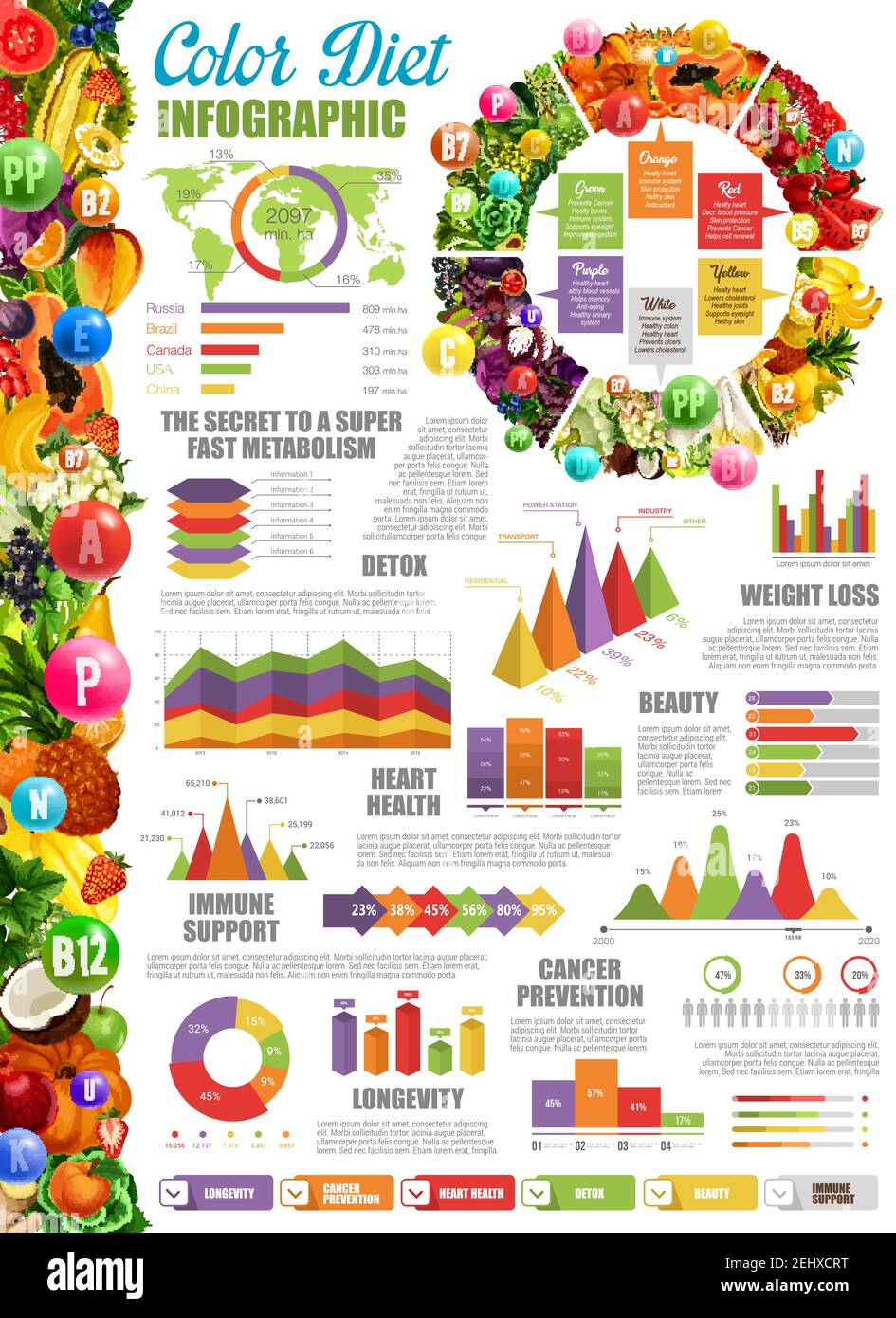 Infographie sur le régime alimentaire en couleur avec diagramme et graphiques statistiques. Métabolisme et détox rapides, beauté et perte de poids, santé cardiaque et soutien immunitaire. Cancer Illustration de Vecteur