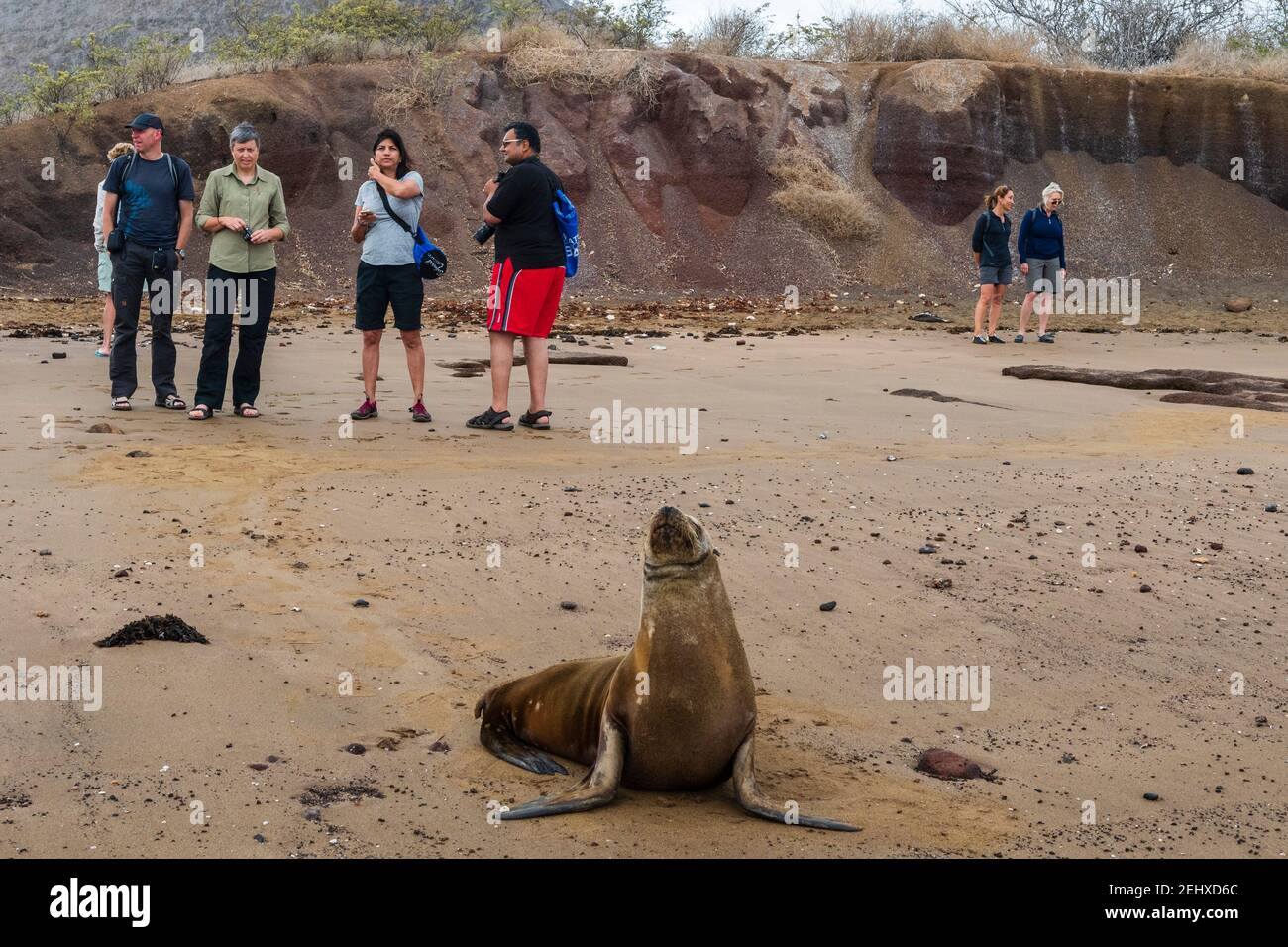 Visite touristique de l'île Floreana, îles Galapagos, Equateur. Banque D'Images