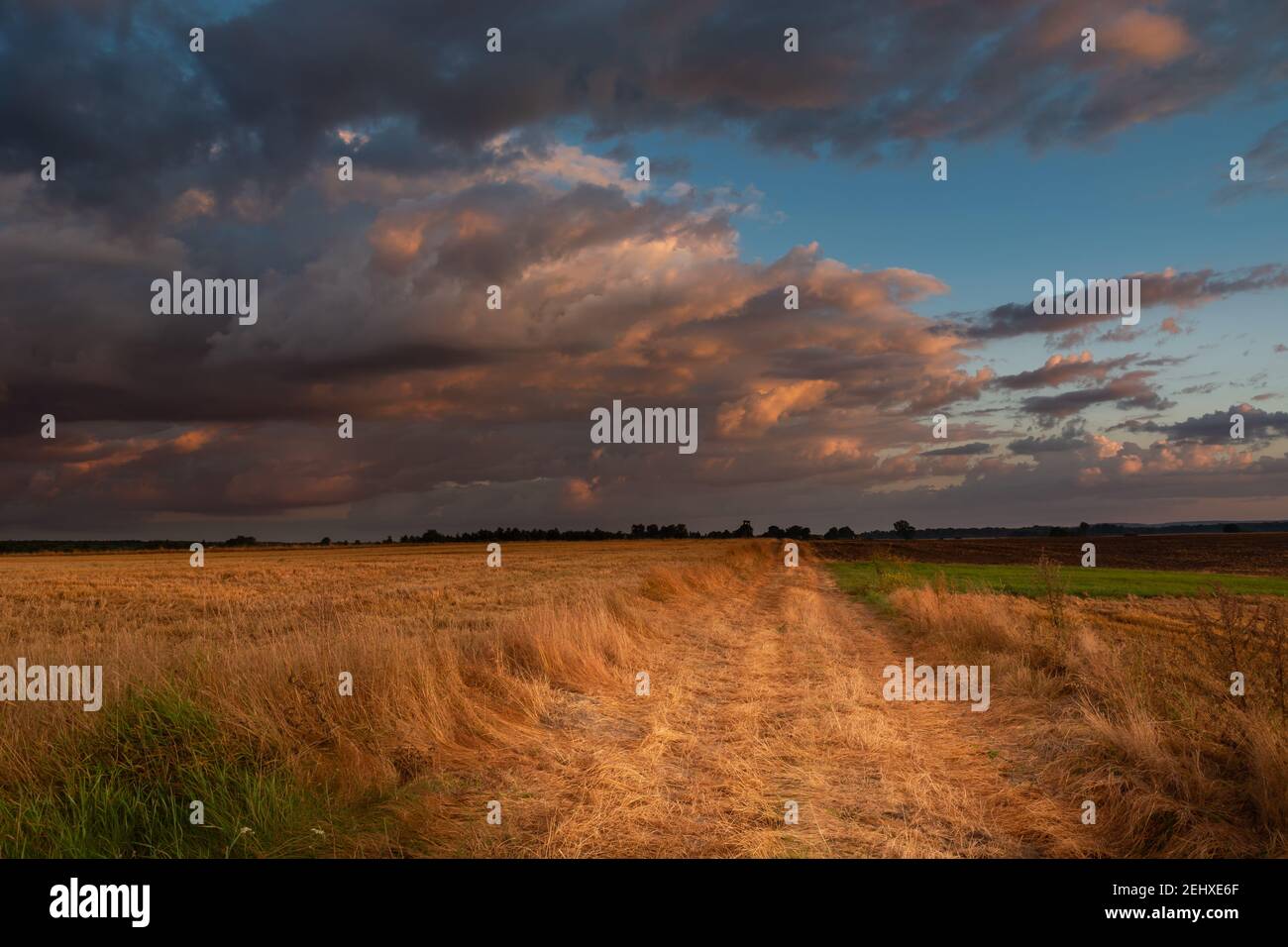 De beaux nuages au coucher du soleil sur les champs dans l'est de la Pologne Banque D'Images