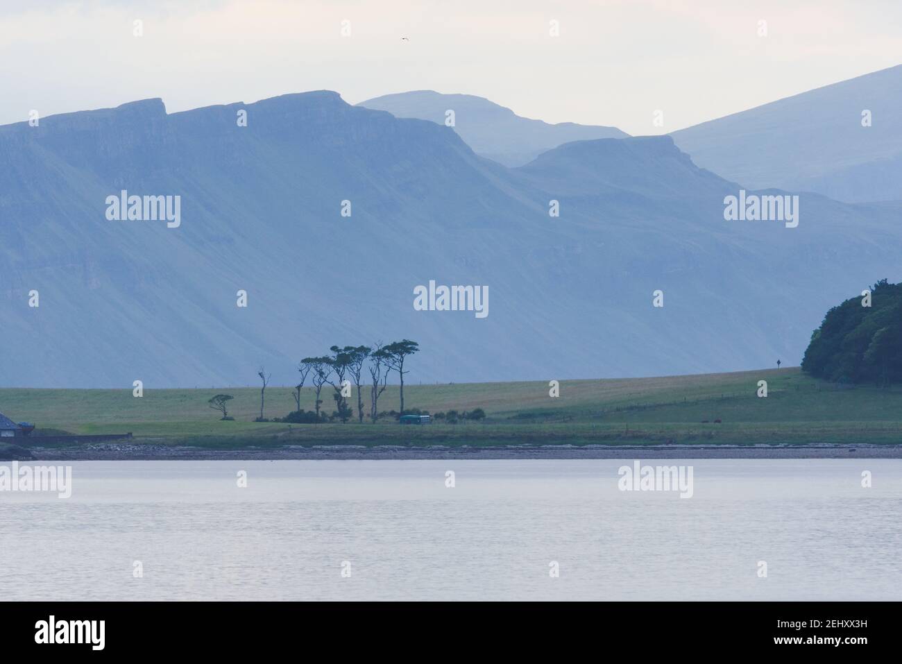 Falaises côtières écossaises spectaculaires, faisant partie d'un téléobjectif derrière un groupe d'arbres insolites sur l'île de raasay. Ton bleu et vert. Banque D'Images