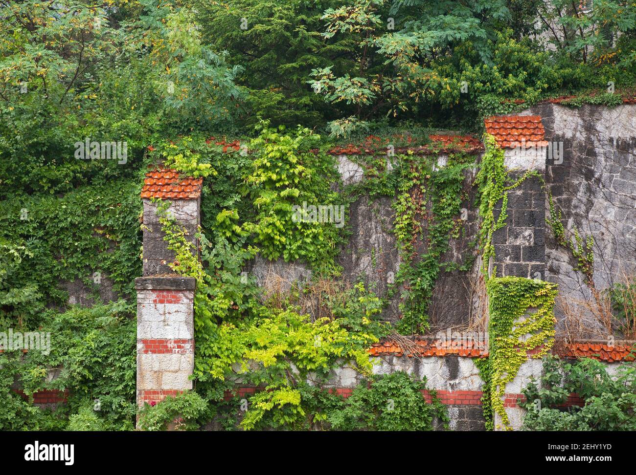 Parc de l'empereur d'Alexandre III à Massandra. Crimée. Ukraine Banque D'Images