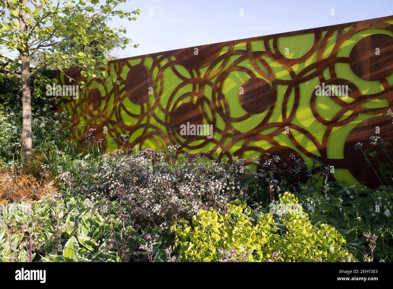 Un jardin moderne corten acier vert panneaux de clôture de jardin - Printemps -bordure de fleur - ciel bleu - Corylus colurna - Un arbre de noisette turc - Angleterre Royaume-Uni Banque D'Images