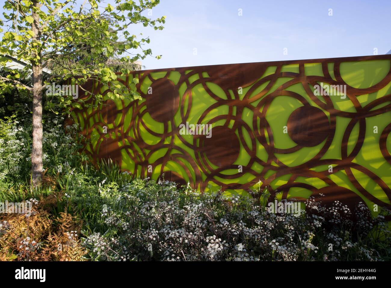 Un jardin moderne corten acier vert panneaux de clôture de jardin - Printemps -bordure de fleur - ciel bleu - Corylus colurna - Un arbre de noisette turc - Angleterre Royaume-Uni Banque D'Images
