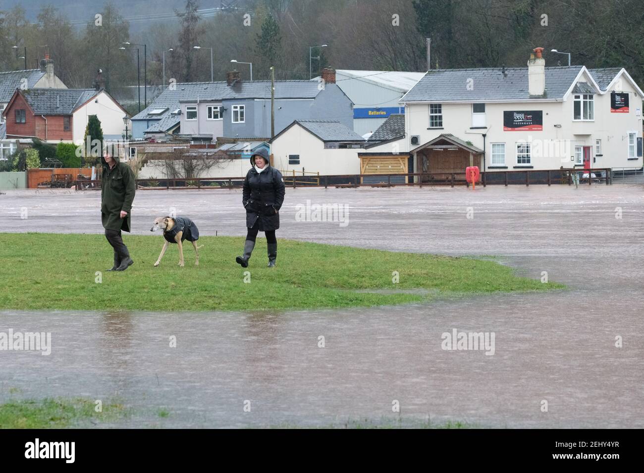 Abergavenny, Monbucshire, pays de Galles, Royaume-Uni Météo - Samedi 20 février 2021 - les gens profitent d'un exercice de confinement près de la rivière inondée Usk. La rivière Usk est maintenant en circulation rapide et a commencé à déborder de ses berges après de fortes pluies au cours des dernières 24 heures dans le sud du pays de Galles. La prévision est pour plus de pluie. Photo Steven May / Alamy Live News Banque D'Images