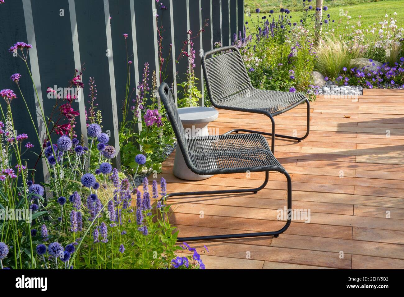 Chaises en métal noir sur terrasse en bois terrasse avec jardin Panneaux de clôture plantation d'Echinops - Verbena bonariensis Agastache et Perovskia Angleterre Royaume-Uni Banque D'Images