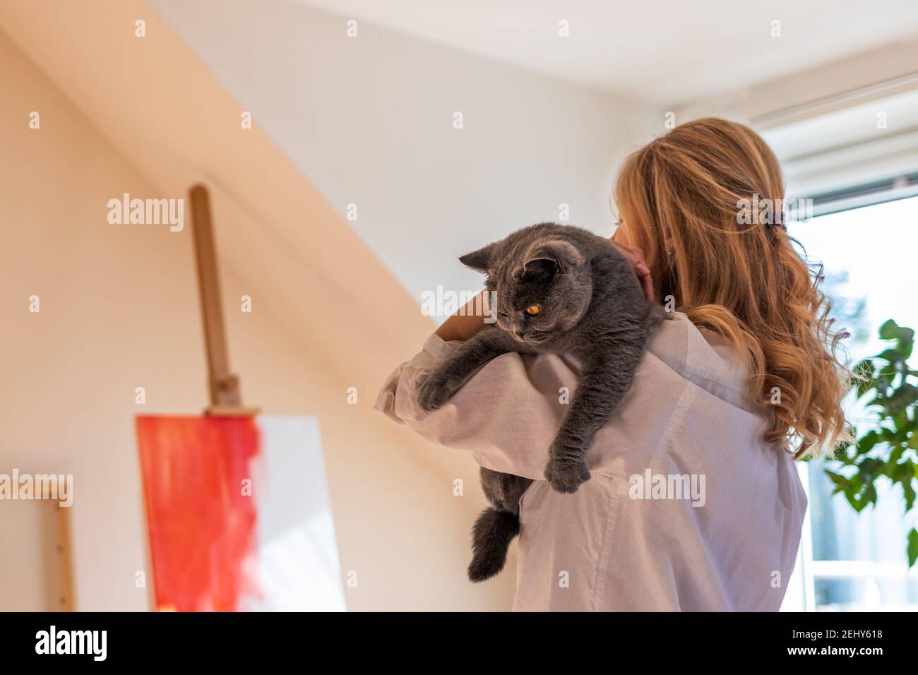 Femme peintre d'art tenant son chat mignon en studio. Femme artiste essayant de trouver l'inspiration avant de peindre. Britannique shorthair chat et propriétaire d'animal de compagnie Banque D'Images